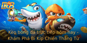 Keo Bong A Truc Tiep Hom Nay Kham Pha Bi Kip Chien Thang Tu Dk8